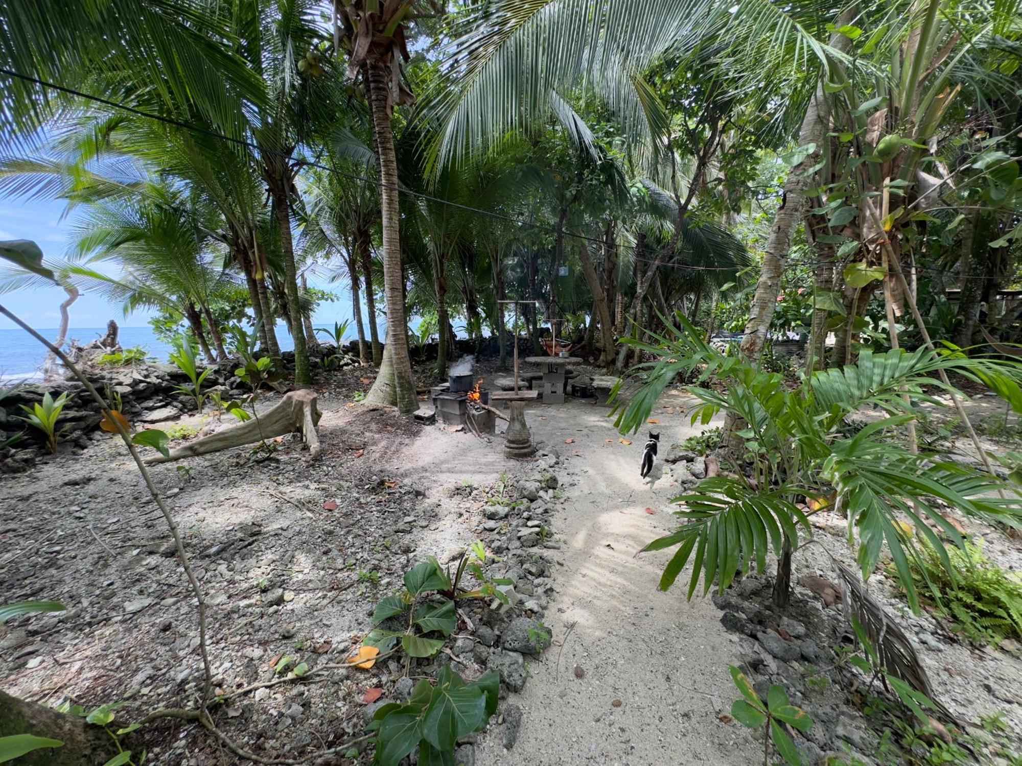 Auberge de jeunesse Casa Mamre à Cahuita Extérieur photo