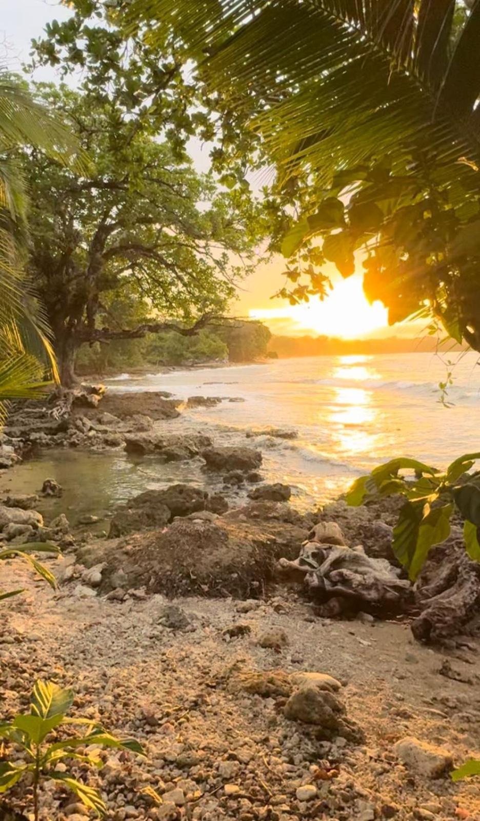 Auberge de jeunesse Casa Mamre à Cahuita Extérieur photo